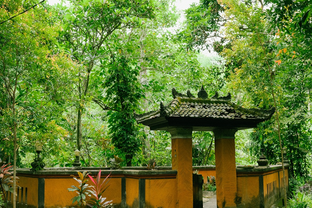 Main Pool
