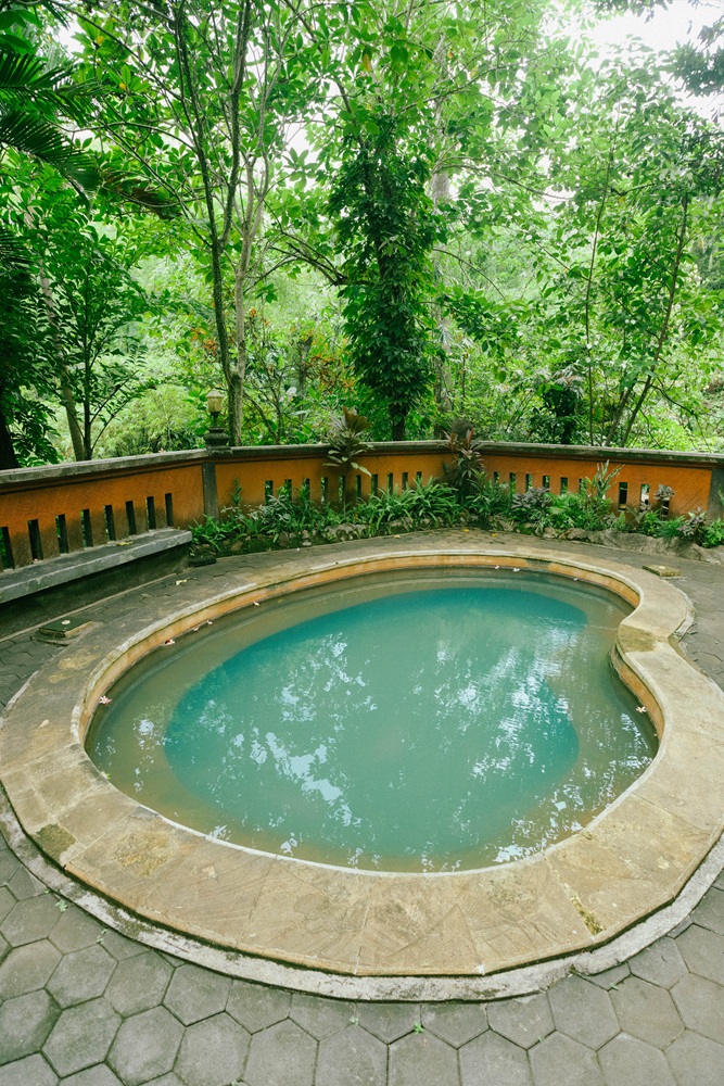 Main Pool